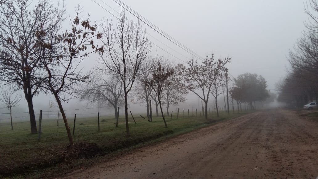 Una mañana signada por la espesa niebla: ¿Cómo sigue el tiempo?